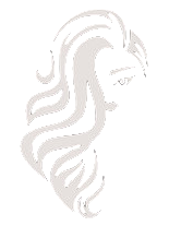 wigs send worldwide transp